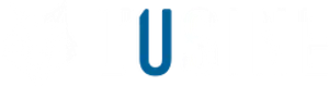 UsinePat